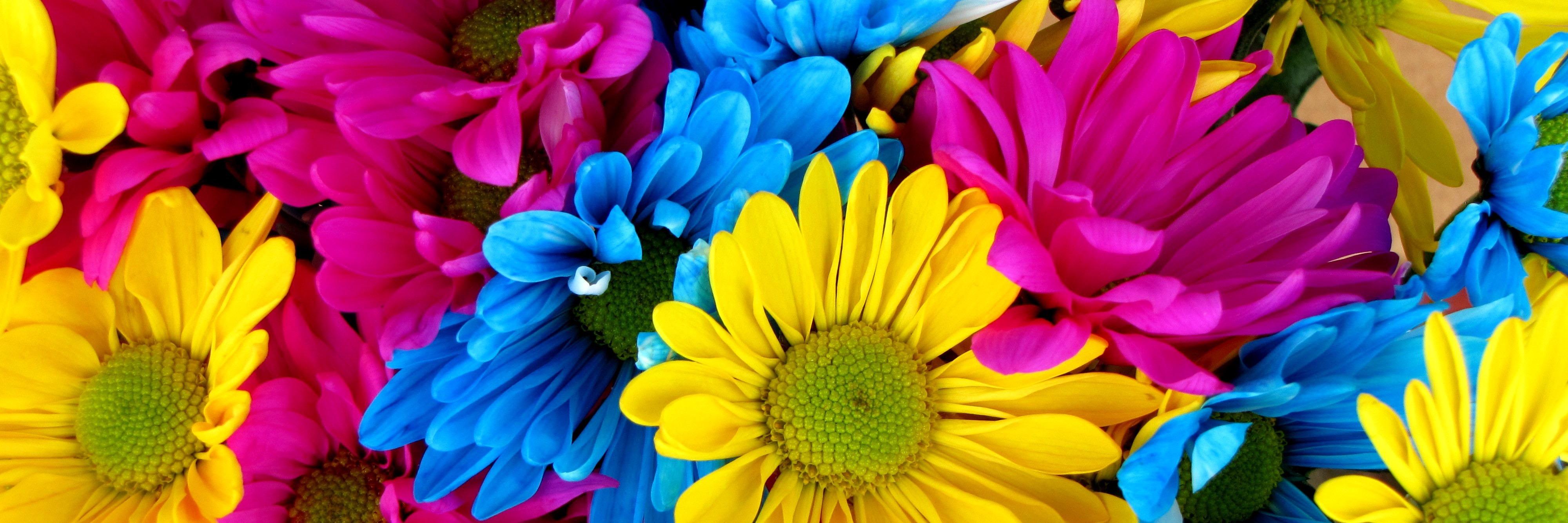 mariasuarez4512's profile banner image
