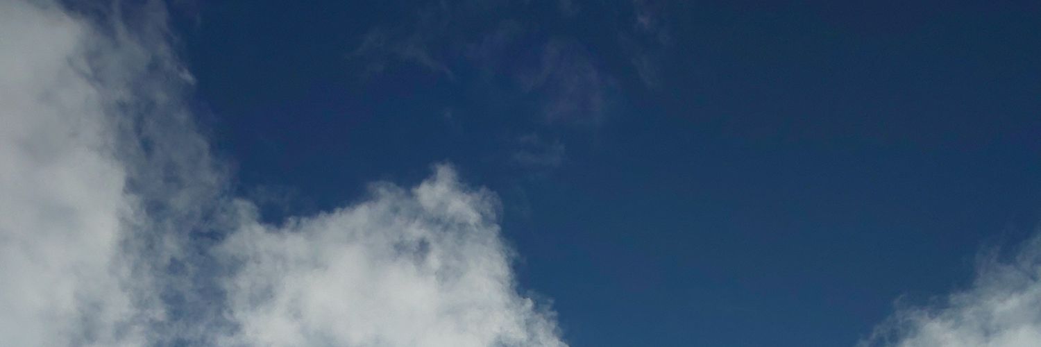osirukokan's profile banner image