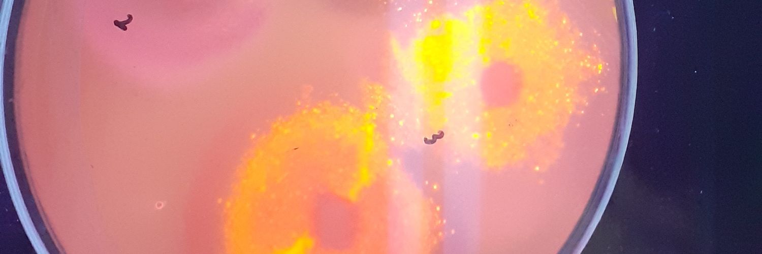 AlInglity's profile banner image