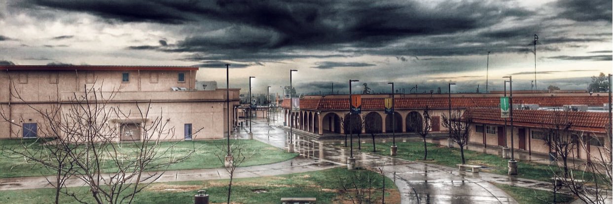 Mandy Ballenger banner