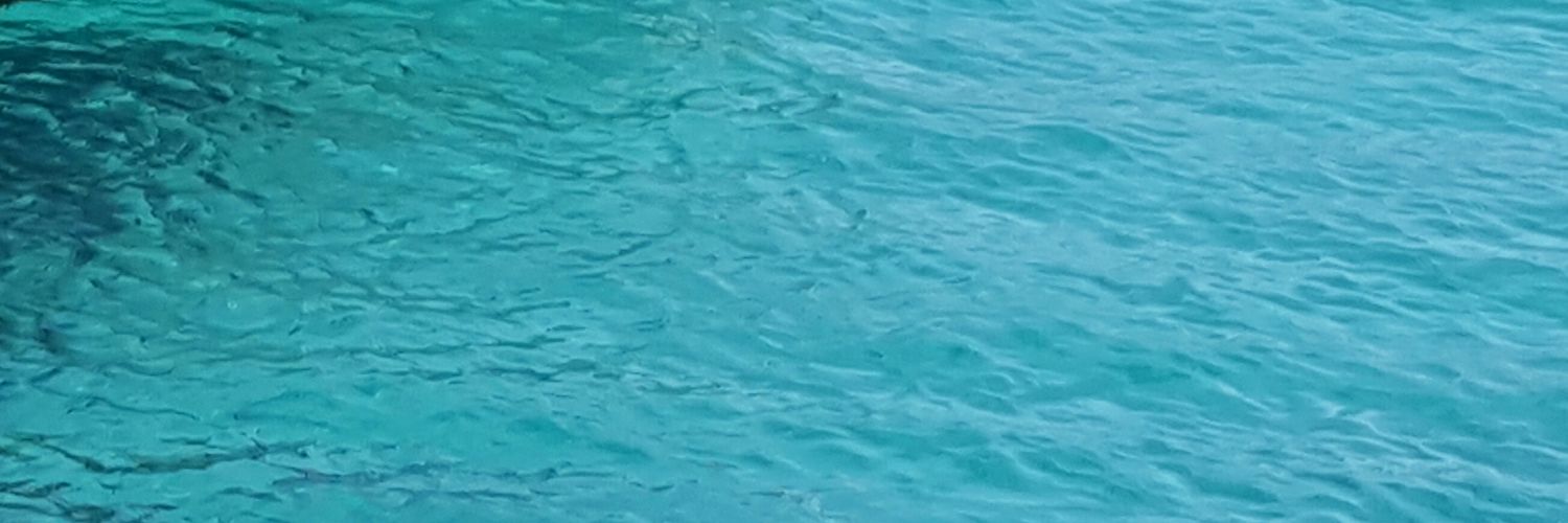 SergiGarMat's profile banner image