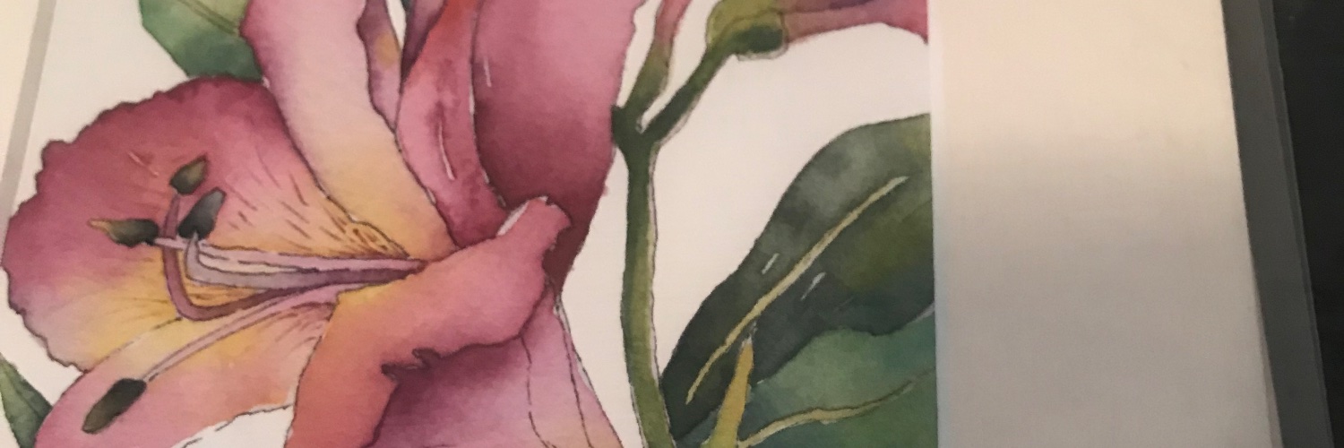 visacog's profile banner image