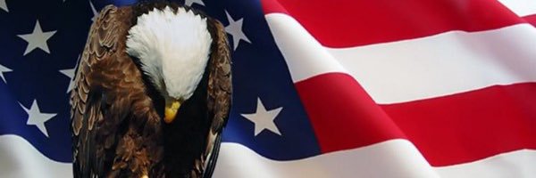 LDominguez_AMS's profile banner image