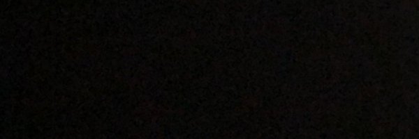 microrapptor Profile Banner