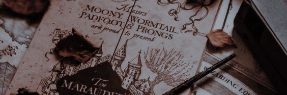 PotterScion's profile banner image