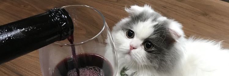 larissagbaracho's profile banner image