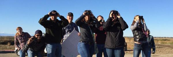 shorebirdnerd's profile banner image