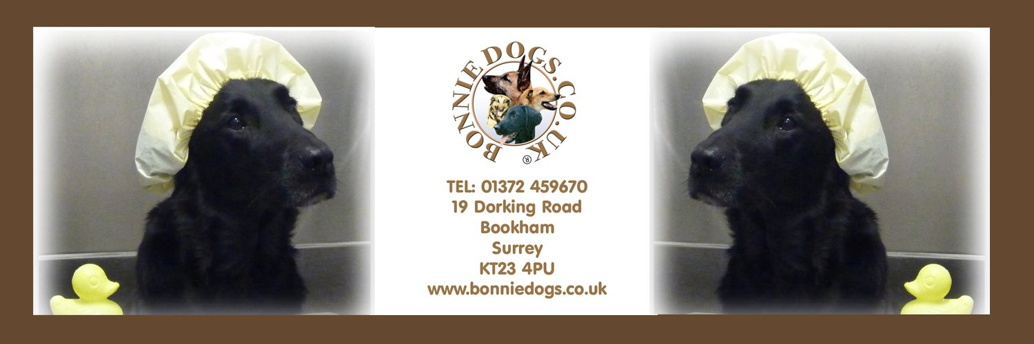 Bonnie Dogs banner