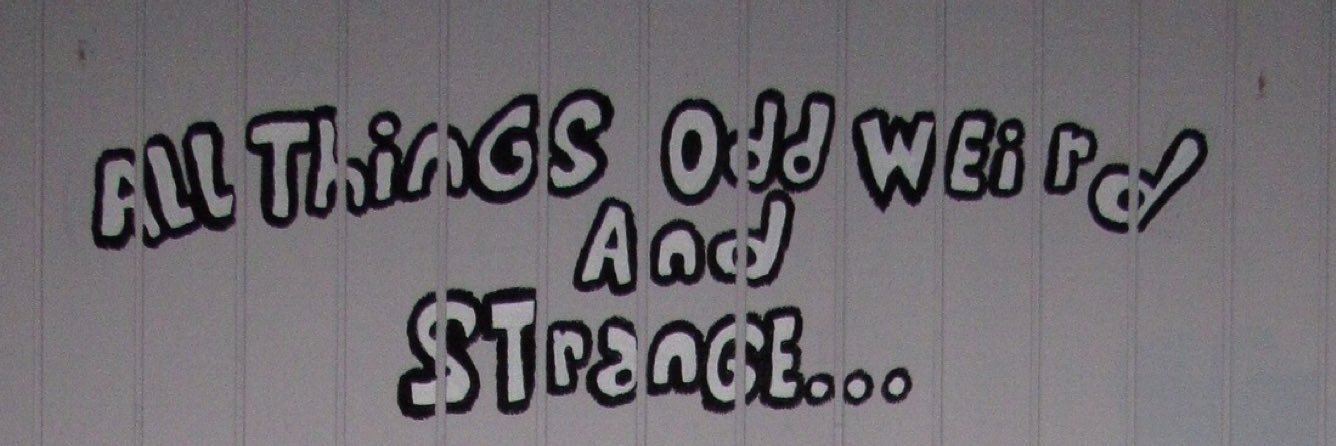 HaileePryor's profile banner image