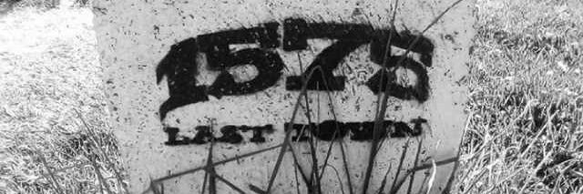 Teyza100's profile banner image
