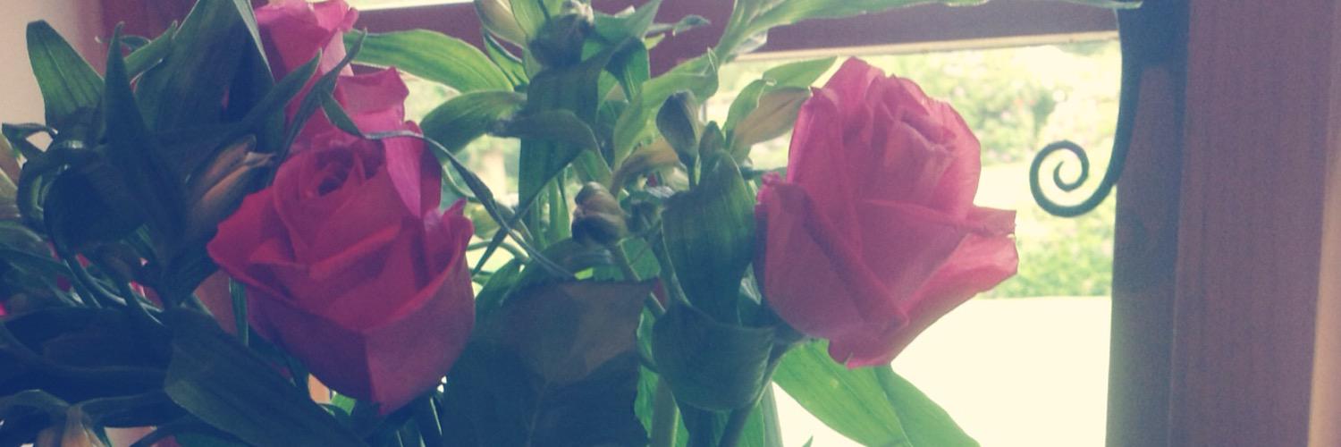scarl3ttaa's profile banner image