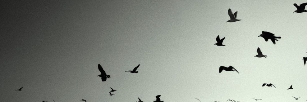__hatundeli's profile banner image