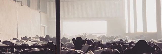 mooodarling's profile banner image