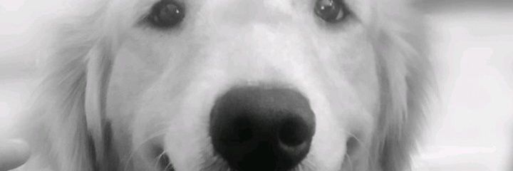 sthefmorada's profile banner image