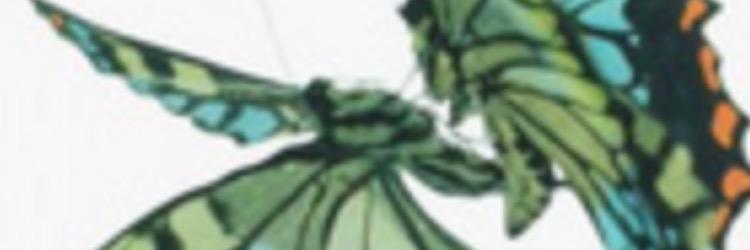PRI_OnlineNL's profile banner image