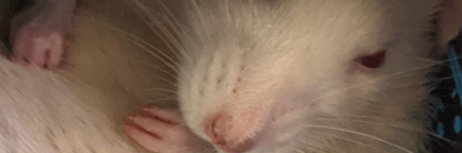 JillyIdris's profile banner image