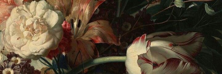 laure_yk23's profile banner image
