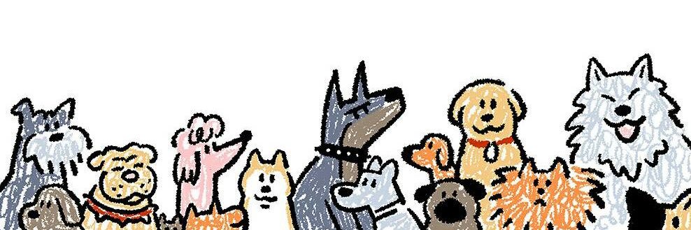 Alice_NLF's profile banner image