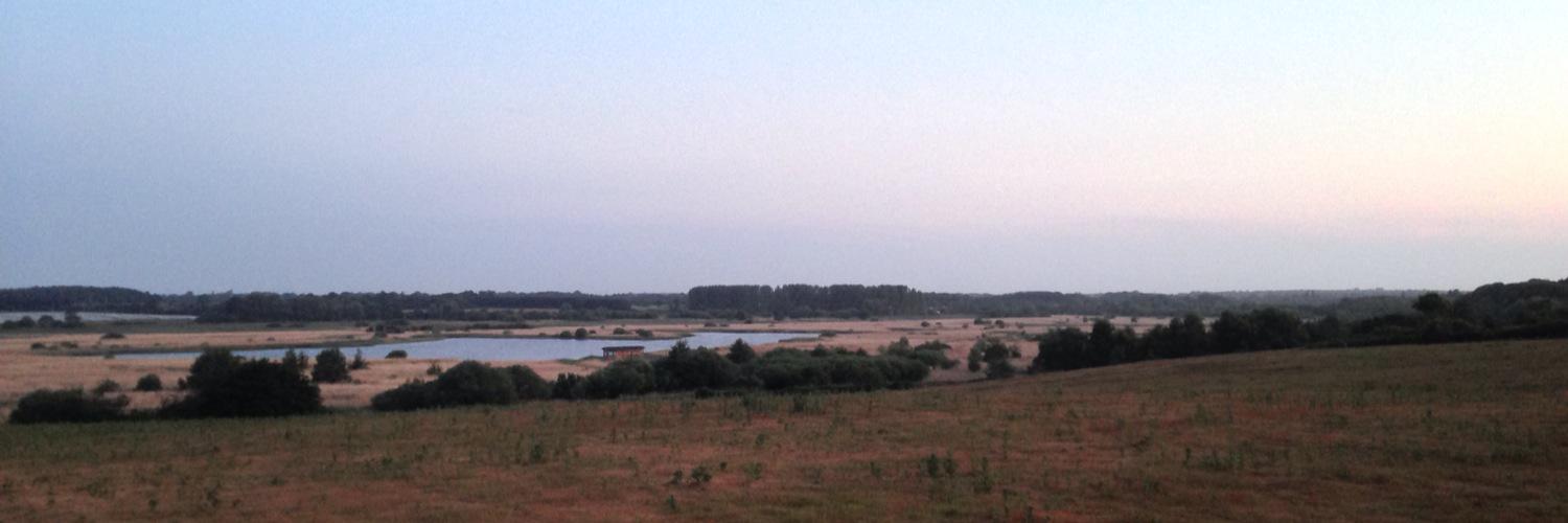 Spineless Simon banner