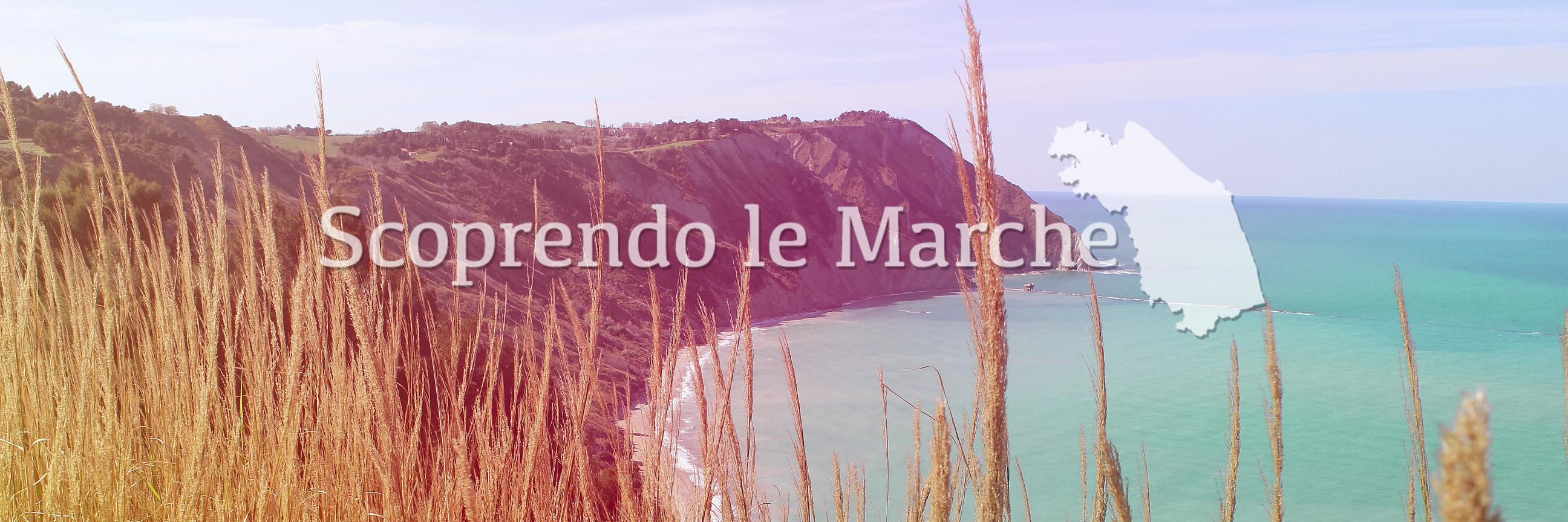 ScoprendoMarche's profile banner image