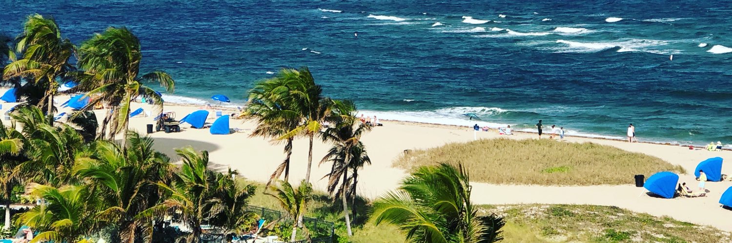 Macdonald Metzger banner