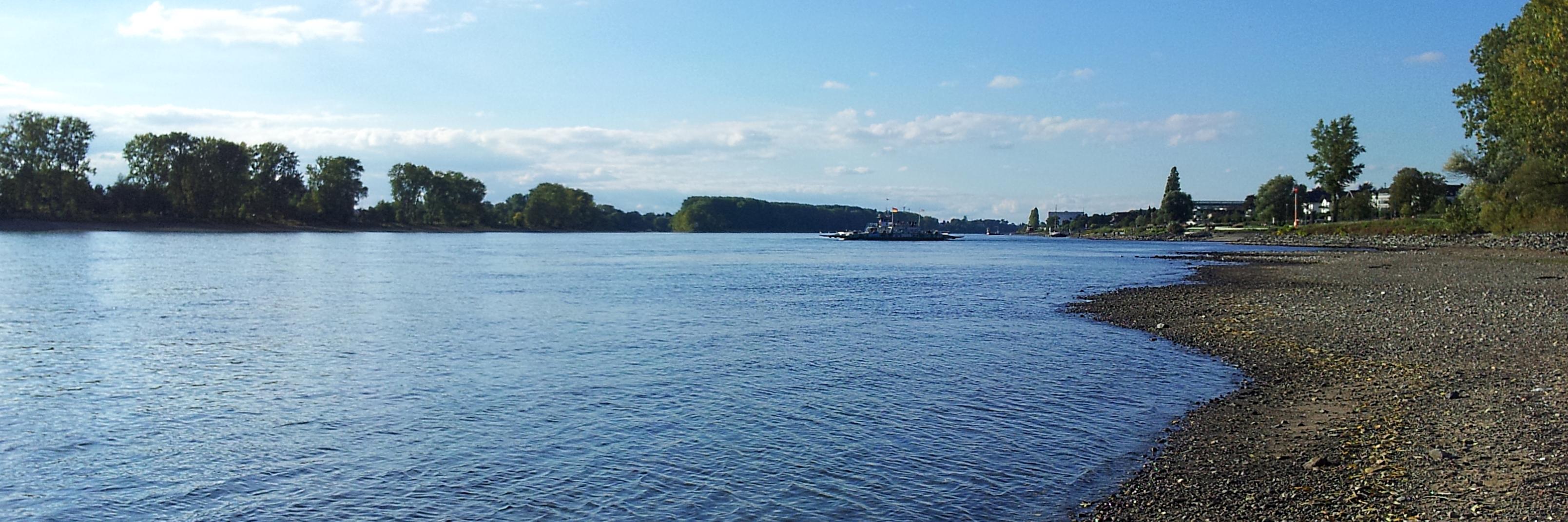 Subhra Bhattacharjee banner