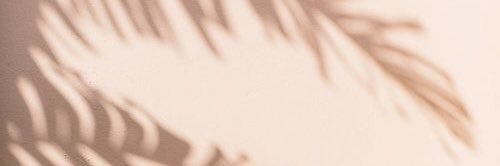 MOReiraS_29's profile banner image