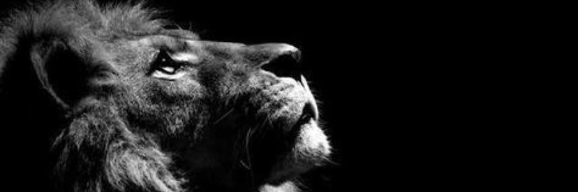 nt7Crf's profile banner image