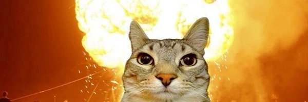 selenexlol Profile Banner