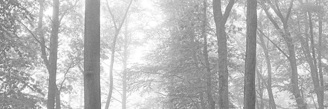 trafficlighttay's profile banner image