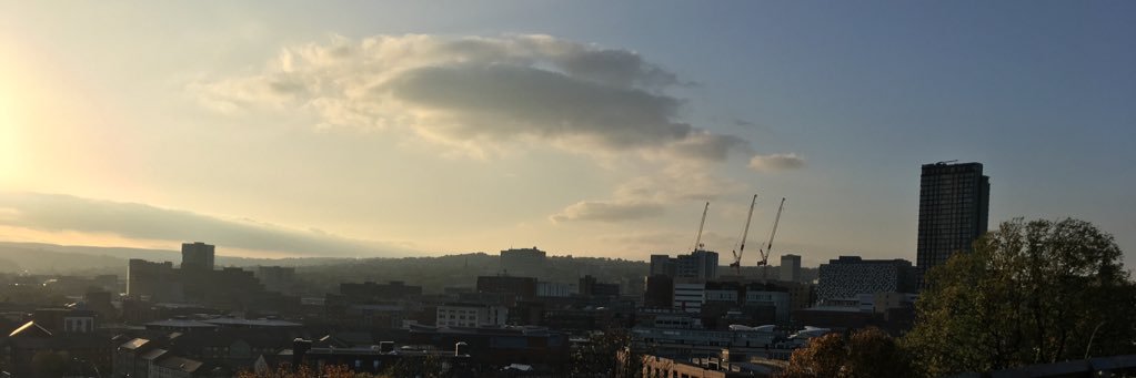 Connor Sadler banner