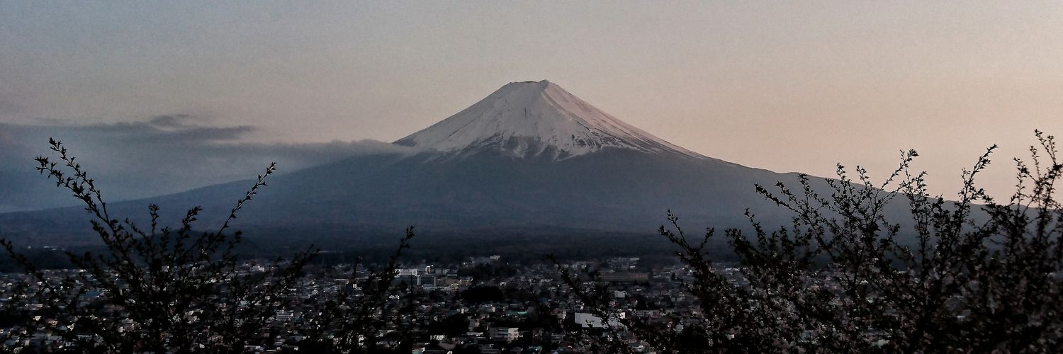 El_vizzou's profile banner image