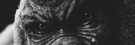 Pae_dae21's profile banner image