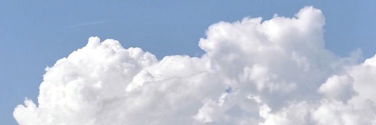 the_not_apple's profile banner image