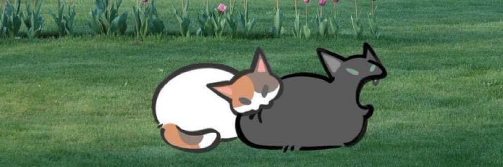 AnnaCWinck's profile banner image