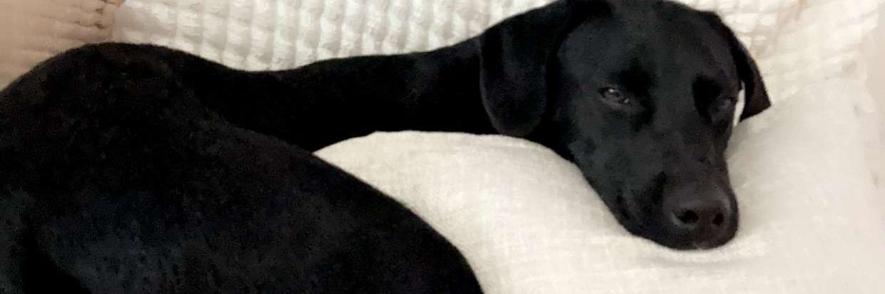 ktroberts_'s profile banner image