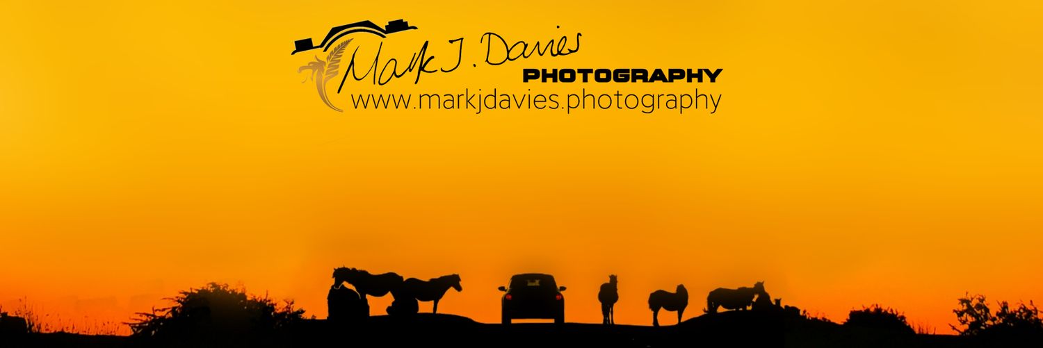 Mark J Davies Photography banner