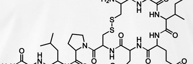 Elissar Andari banner