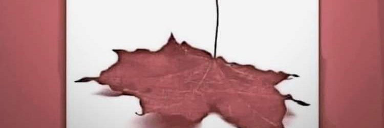 valjoybray's profile banner image