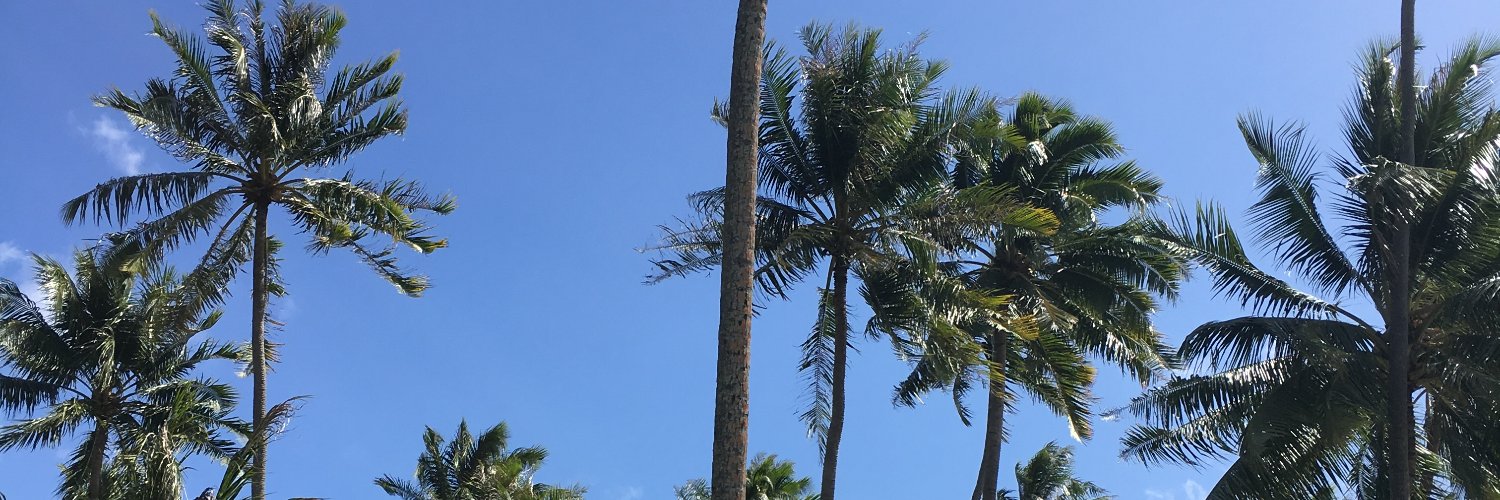 Molls_ross's profile banner image