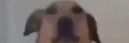 afro_microwave's profile banner image