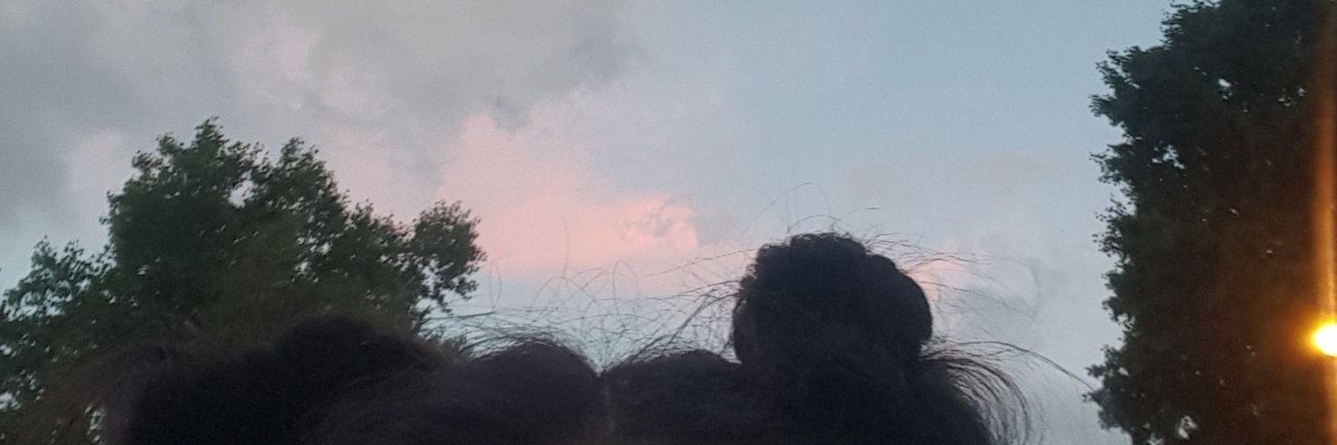 mylifeasleslie's profile banner image