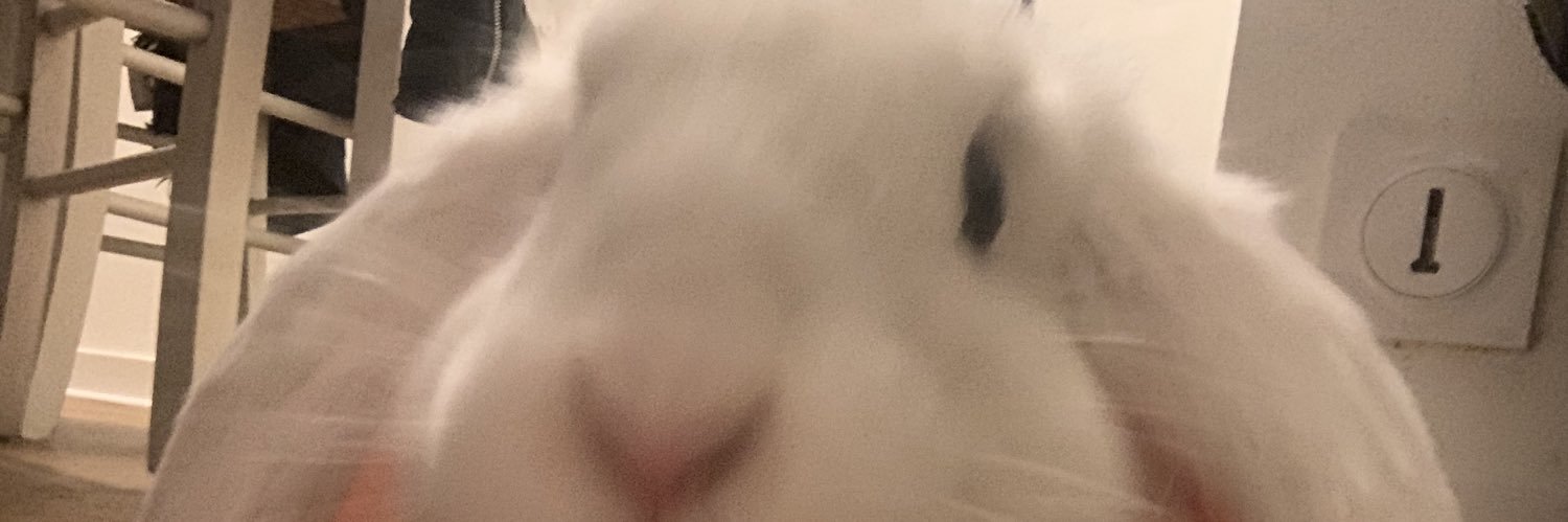 Clemclemdsn's profile banner image