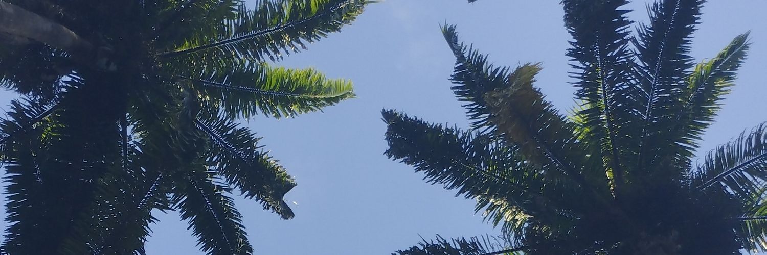 MafeMoya27's profile banner image