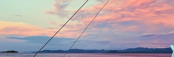 EdenAltmann's profile banner image