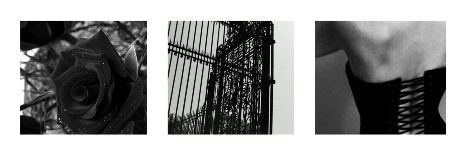 Matriarchisms's profile banner image