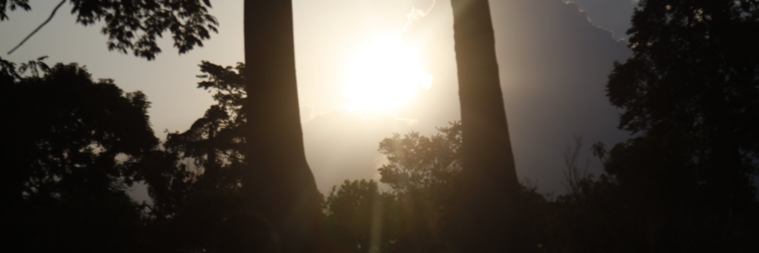 discoveriesgh's profile banner image