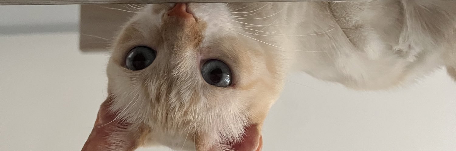 muaugustop's profile banner image