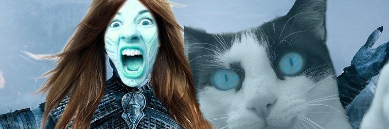 laquejo's profile banner image