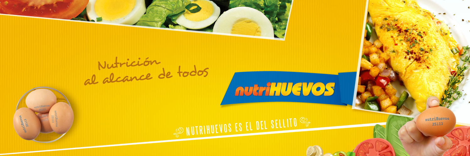 nutriHUEVOS's profile banner image